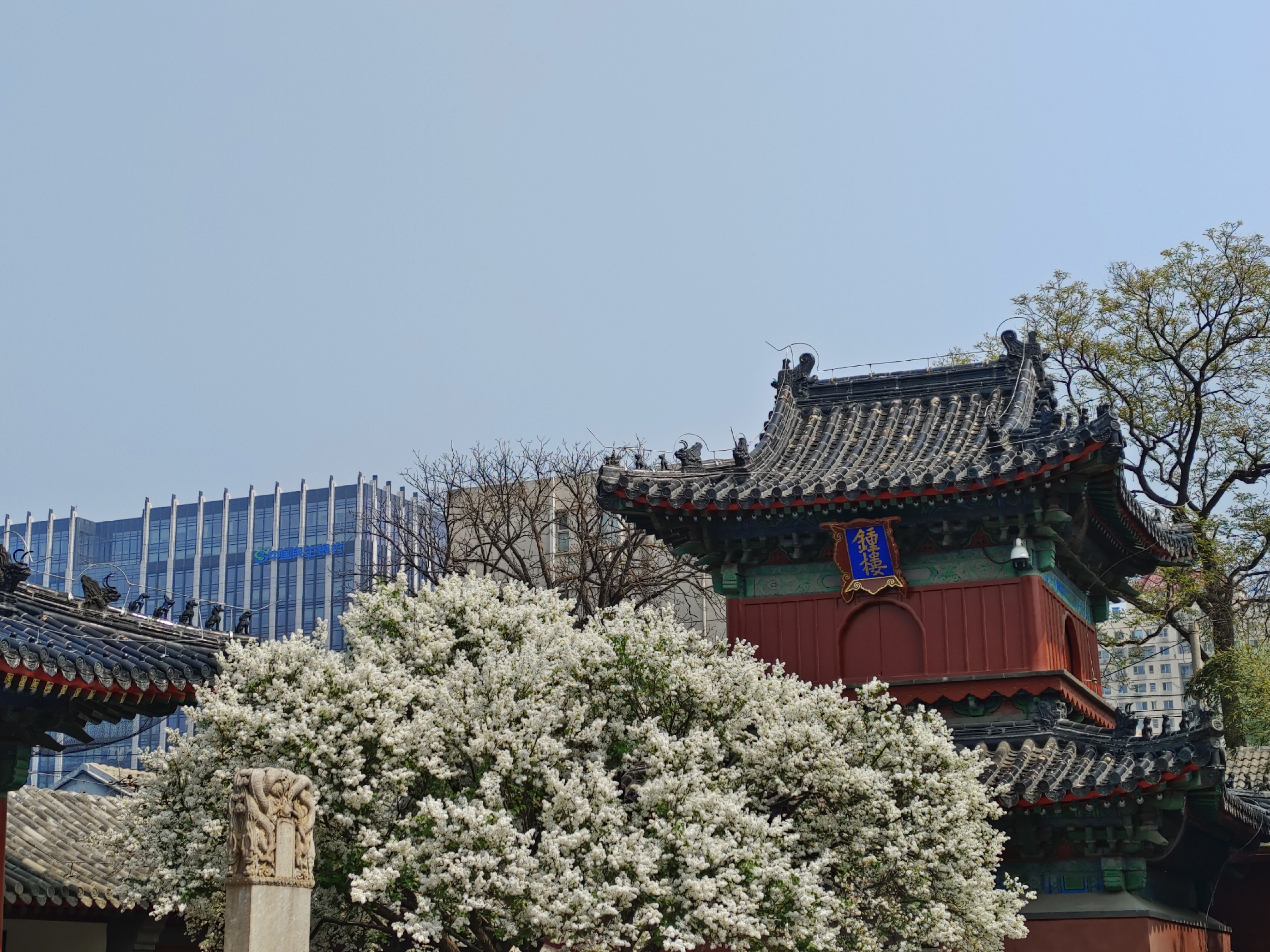 2024年三月初三打卡上巳节的智化寺