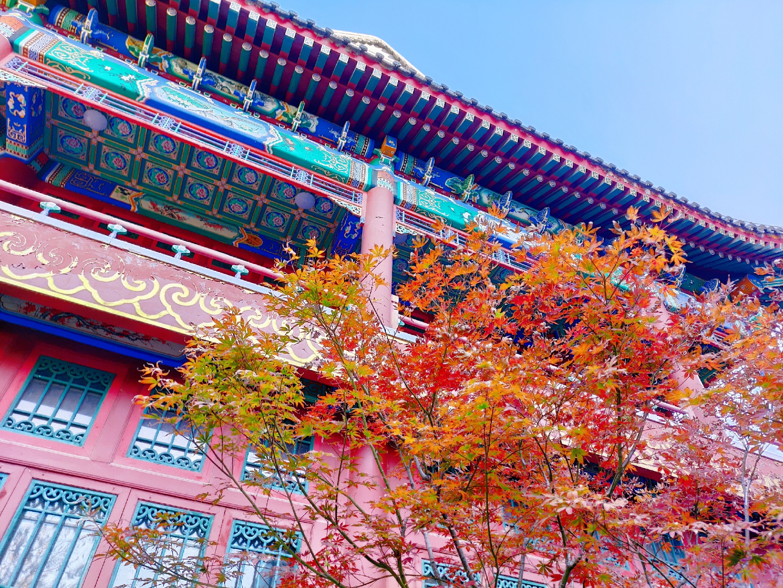 北京的秋 是最美的季节 一眼就爱了的感觉！中国园林博物馆赏秋