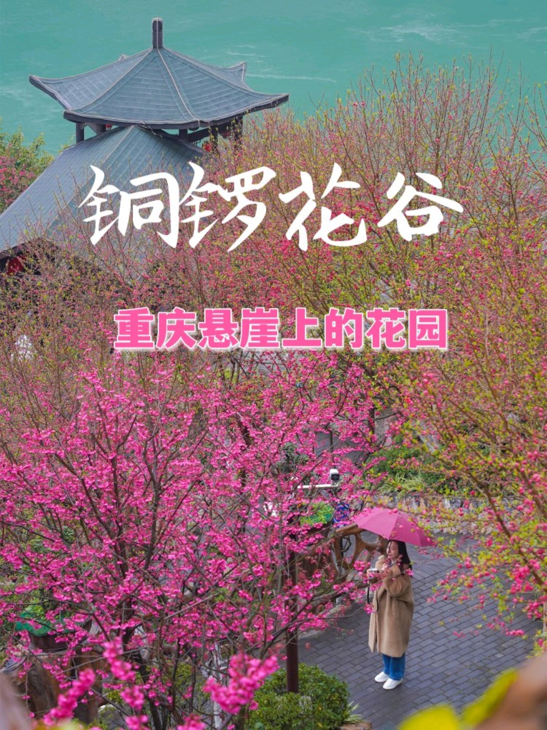 重庆悬崖上的铜锣花谷生态园（重庆赏花有哪些地方）