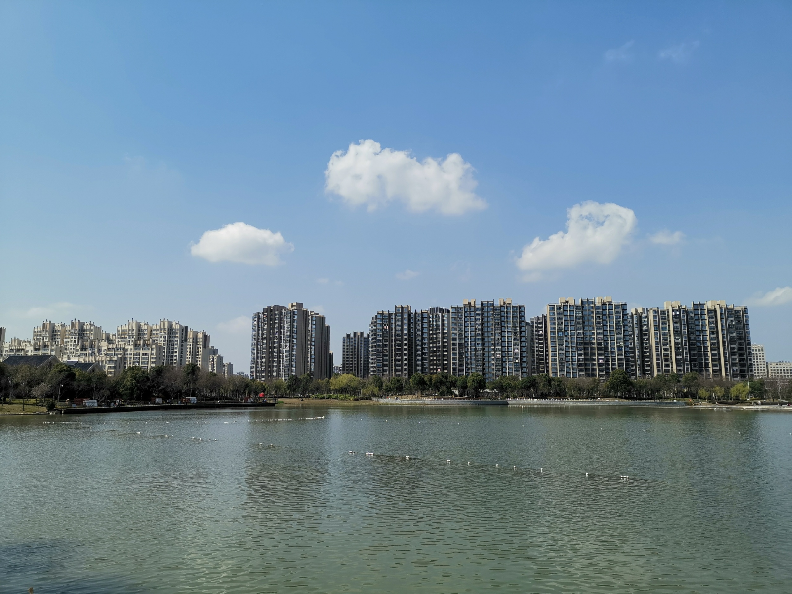 打卡银翔湖公园-湖赠一城春，上海市公园有序开放
