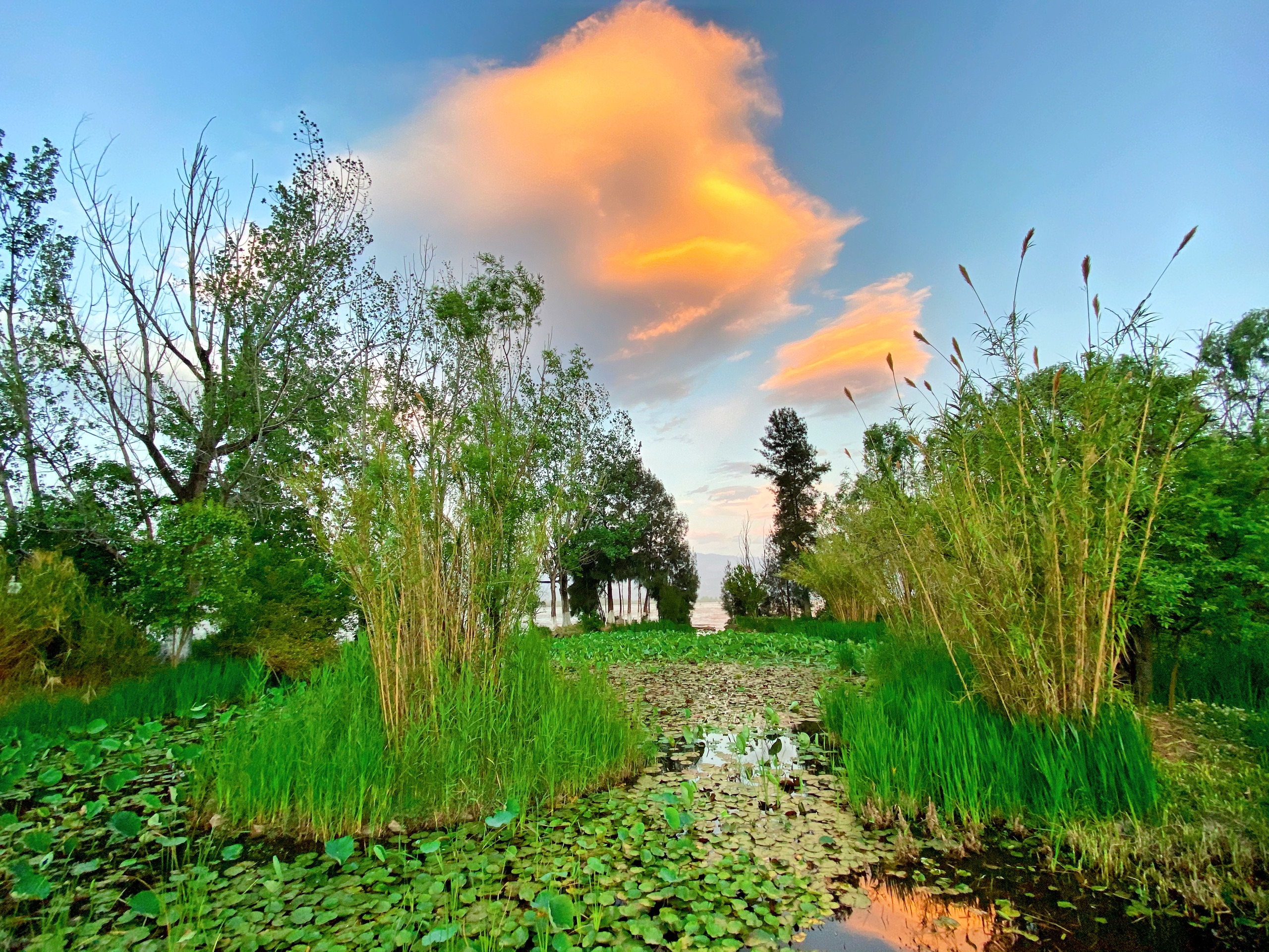 梦里水乡湿地公园-梦里水乡湿地公园图片好玩吗