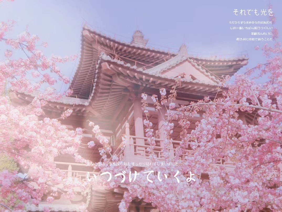 在西安日系赏樱_在西安也能看到美美的樱花-拍出美美的照片