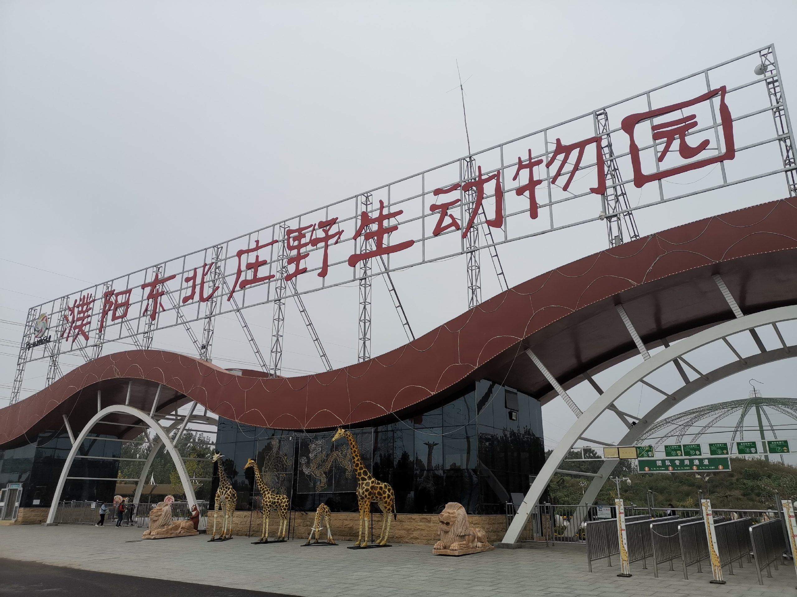 濮阳东北庄野生动物园_最有特色的强力推荐的是车中观虎、投食喂虎了