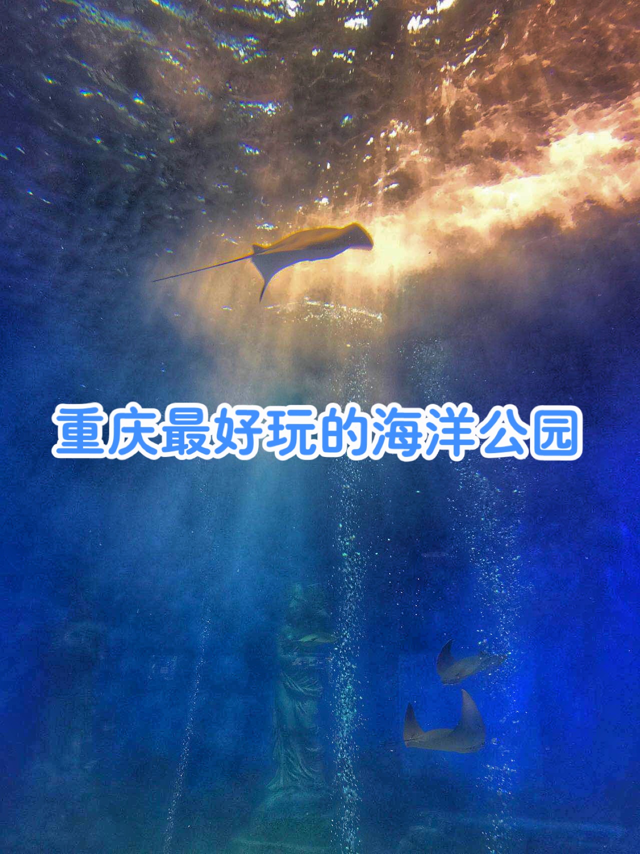 重庆·汉海海洋公园，让你畅游海洋！2020最新重庆汉海海洋公园攻略